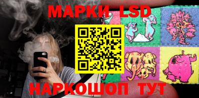 дживик Кандалакша