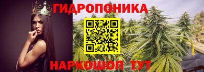 ALPHA PVP Канаш