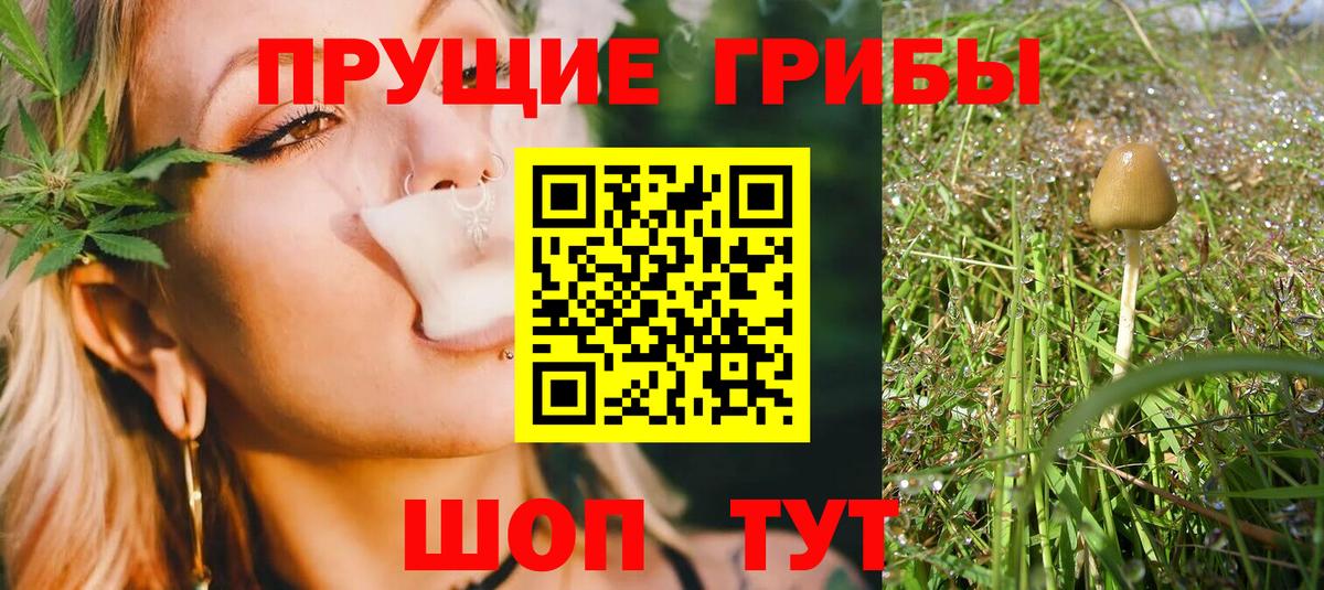 Галлюциногенные грибы Psilocybine cubensis  Вход с VPN  Медногорск 